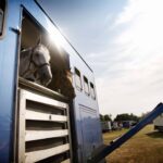 Gode ideer til paintball aktiviteter