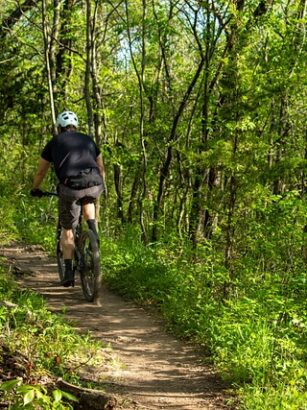Sjove mountainbike-ruter for børn i danmark