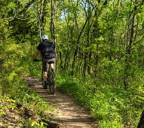 Sjove mountainbike-ruter for børn i danmark