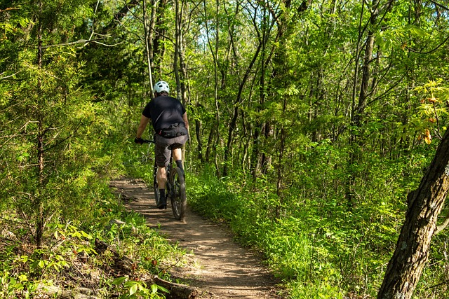 Sjove mountainbike-ruter for børn i danmark