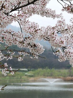 Picnickurve og tæpper i bæredygtige materialer - en guide til miljøbevidste valg