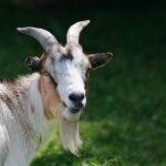 Kreative sceneløsninger: Når standard ikke er nok